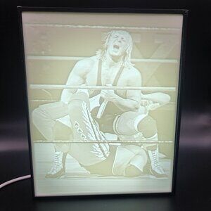 WWF WWE Owen Hart vs Bret Hart Sharp Shooter Lithophane Box 8x7x2.5 inches